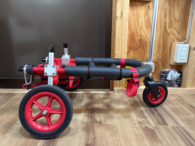 岐阜県のコーギー　茶々ちゃんの車椅子