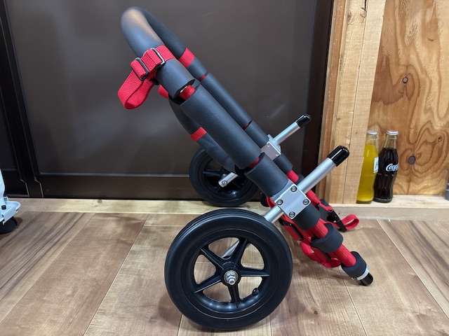 千葉県のコーギー　ももちゃんの車椅子