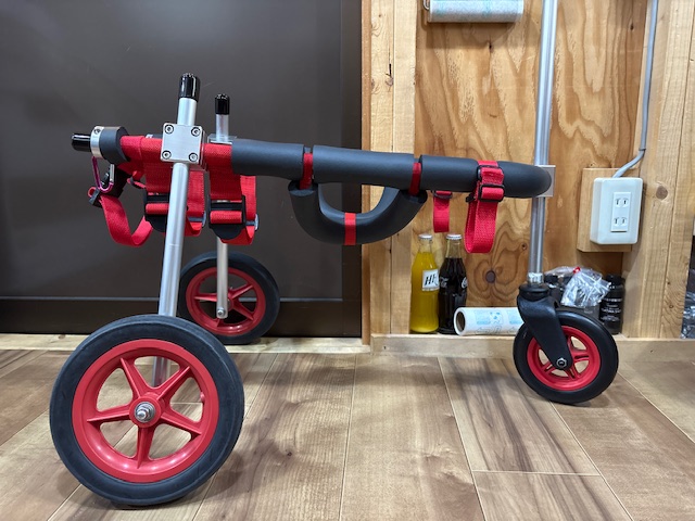 愛知県の柴犬　ももちゃんの車椅子