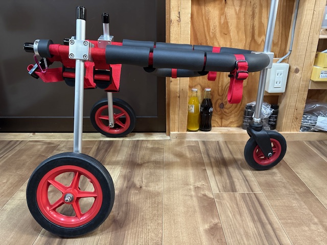 高知県の中型犬　ゴンちゃんの車椅子