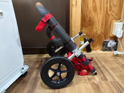 愛知県のコーギー　ヒースちゃんの車椅子