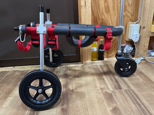 埼玉県の中型犬　モカちゃんの車椅子