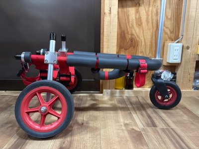 埼玉県のコーギー　すみれちゃんの車椅子