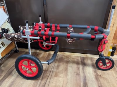 東京都のゴールデンレトルーバー　ミルトちゃんの車椅子