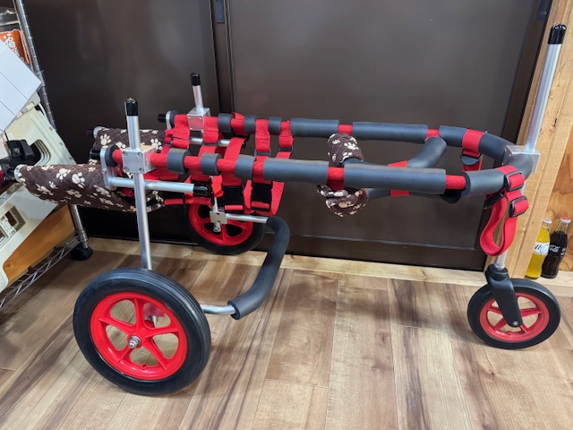 東京都のゴールデンレトルーバー　ミルトちゃんの車椅子