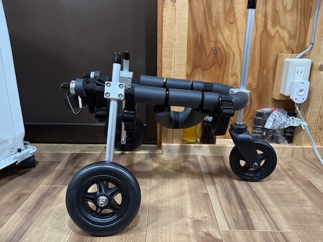 岐阜県のビションフリーゼ　ココちゃんの車椅子