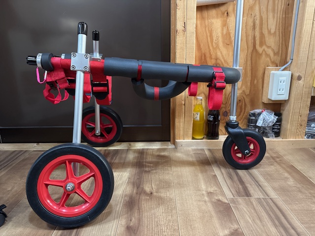 愛知県の柴犬　こたろうちゃんの車椅子