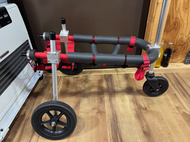 埼玉県の柴犬　秋飛ちゃんの車椅子