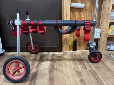 東京都のオーストラリアンラブラドゥードル　ロビちゃんの車椅子