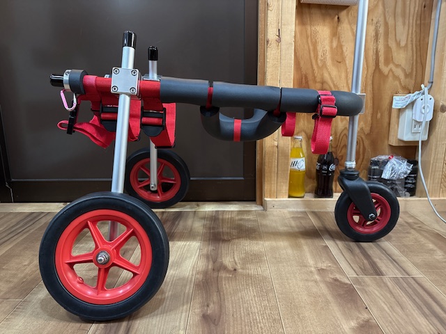 岐阜県の柴犬　まあくちゃんの車椅子