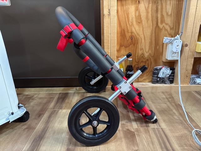 東京都のコーギー　コロ助ちゃんの車椅子