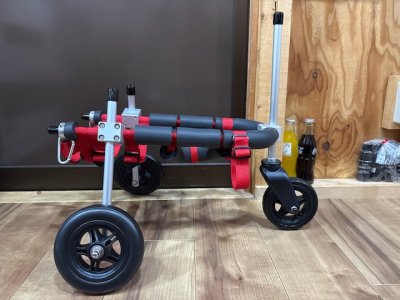 埼玉県のパピヨン　ピースちゃんの車椅子