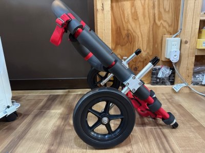 北海道のコーギー　いちごちゃんの車椅子