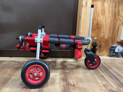 佐賀県のポメラニアン　マックスちゃんの車椅子