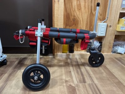 栃木県の柴犬　あんちゃんの車椅子