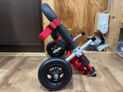 青森県のトイプードル×チワワ　あんずちゃんの車椅子