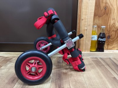 鹿児島県のポメラニアン　そらちゃんの車椅子