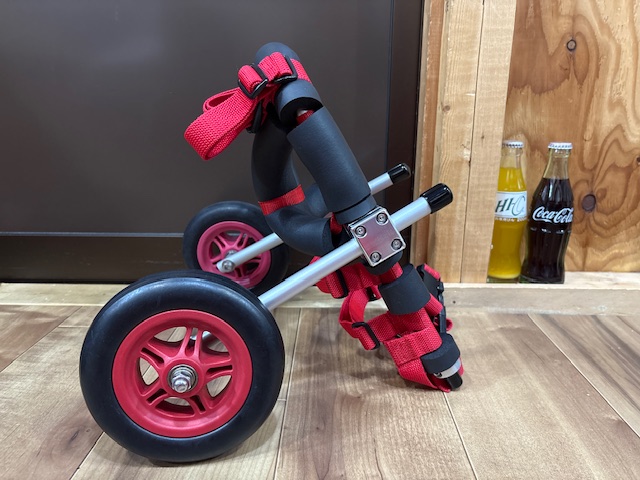 鹿児島県のポメラニアン　そらちゃんの車椅子