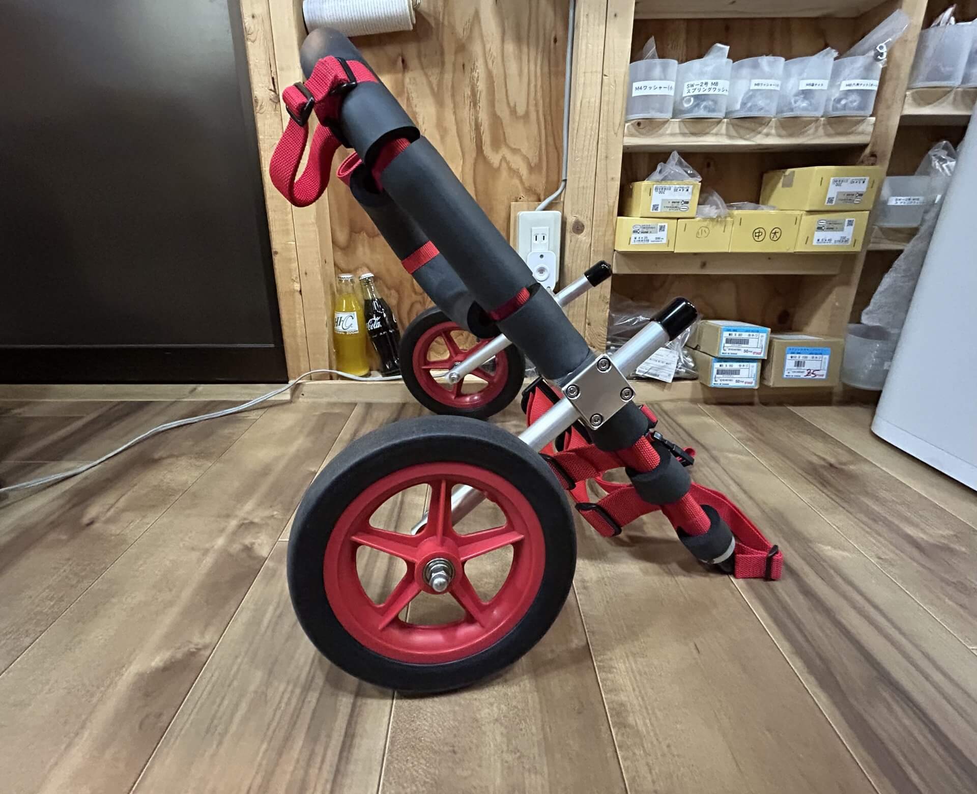 岐阜県のコーギー　ロビンちゃんの車椅子