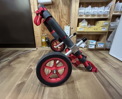 岐阜県のコーギー　ロビンちゃんの車椅子