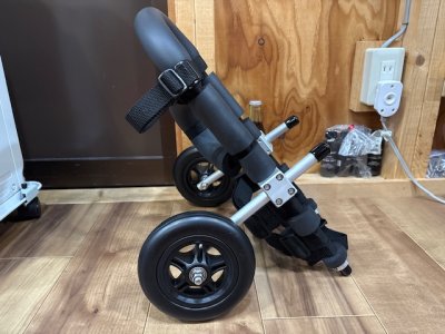 兵庫県のミニチュアダックスフンド　ポロちゃんの車椅子