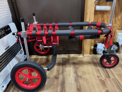 神奈川県の大型犬　ロイちゃんの車椅子