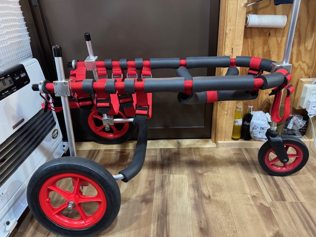 神奈川県の大型犬　ロイちゃんの車椅子