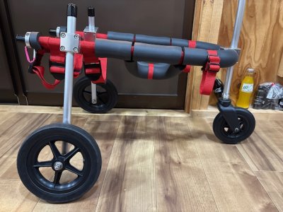 千葉県のミニチュアシュナウザー　ポチちゃんの車椅子