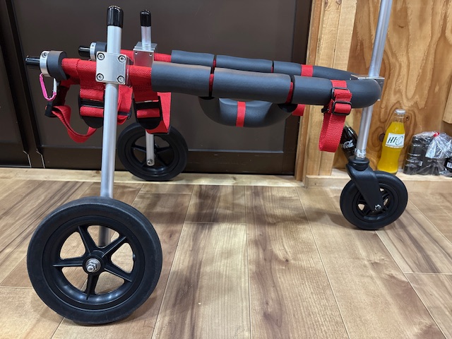 千葉県のミニチュアシュナウザー　ポチちゃんの車椅子