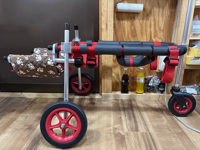 山梨県の甲斐犬　ちびちゃんの車椅子