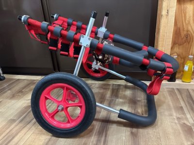 群馬県のボクサー　サニーちゃんの車椅子