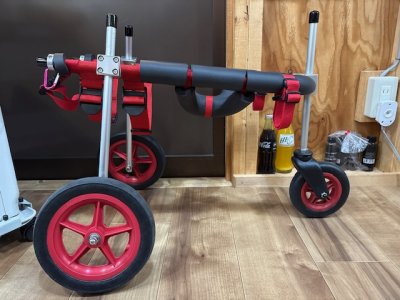 岡山県の甲斐犬　カズちゃんの車椅子