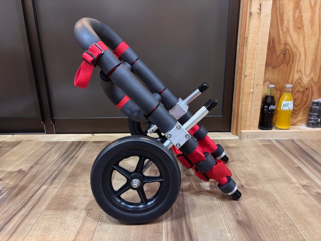 千葉県のコーギー　アイちゃんの車椅子