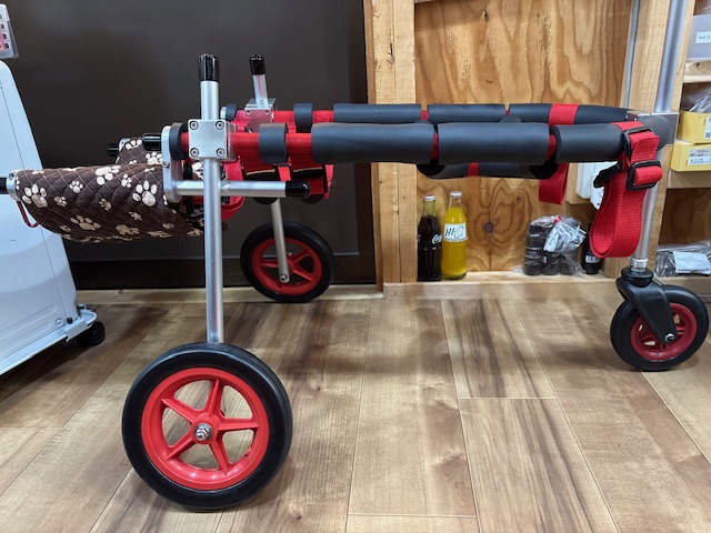 愛知県の柴犬　ユッキーちゃんの車椅子