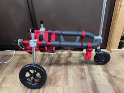 愛媛県のコーギー　しろちゃんの車椅子