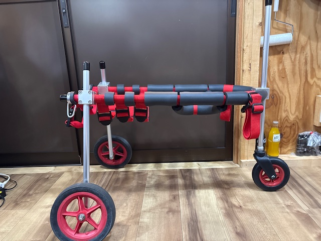 東京都の中型犬　ナルちゃんの車椅子