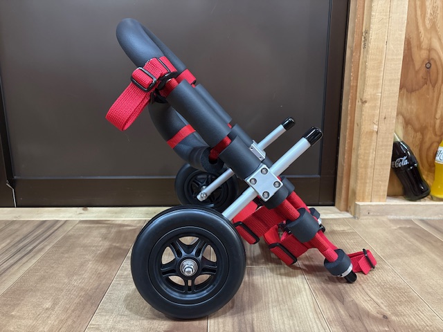 愛知県のミニチュアダックスフンド　ココアちゃんの車椅子