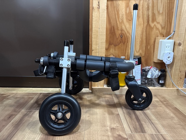 岐阜県のトイプードル　ニッキちゃんの車椅子