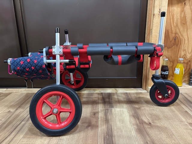 三重県の柴犬　くうちゃんの車椅子