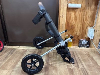 大阪府のmix　しらたまちゃんの車椅子