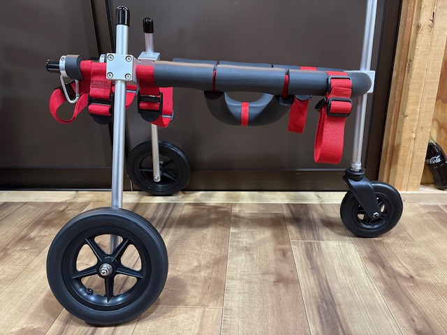 東京都の中型犬　華ちゃんの車椅子