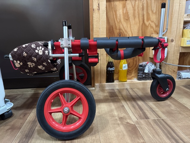 岡山県の柴犬　リキちゃんの車椅子