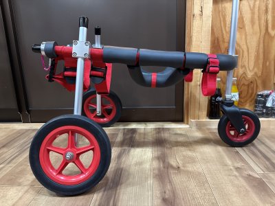 大阪府の柴犬　ココちゃんの車椅子