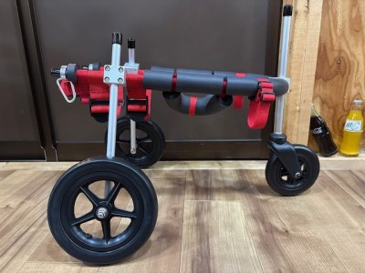 青森県の小型犬　ラムちゃんの車椅子