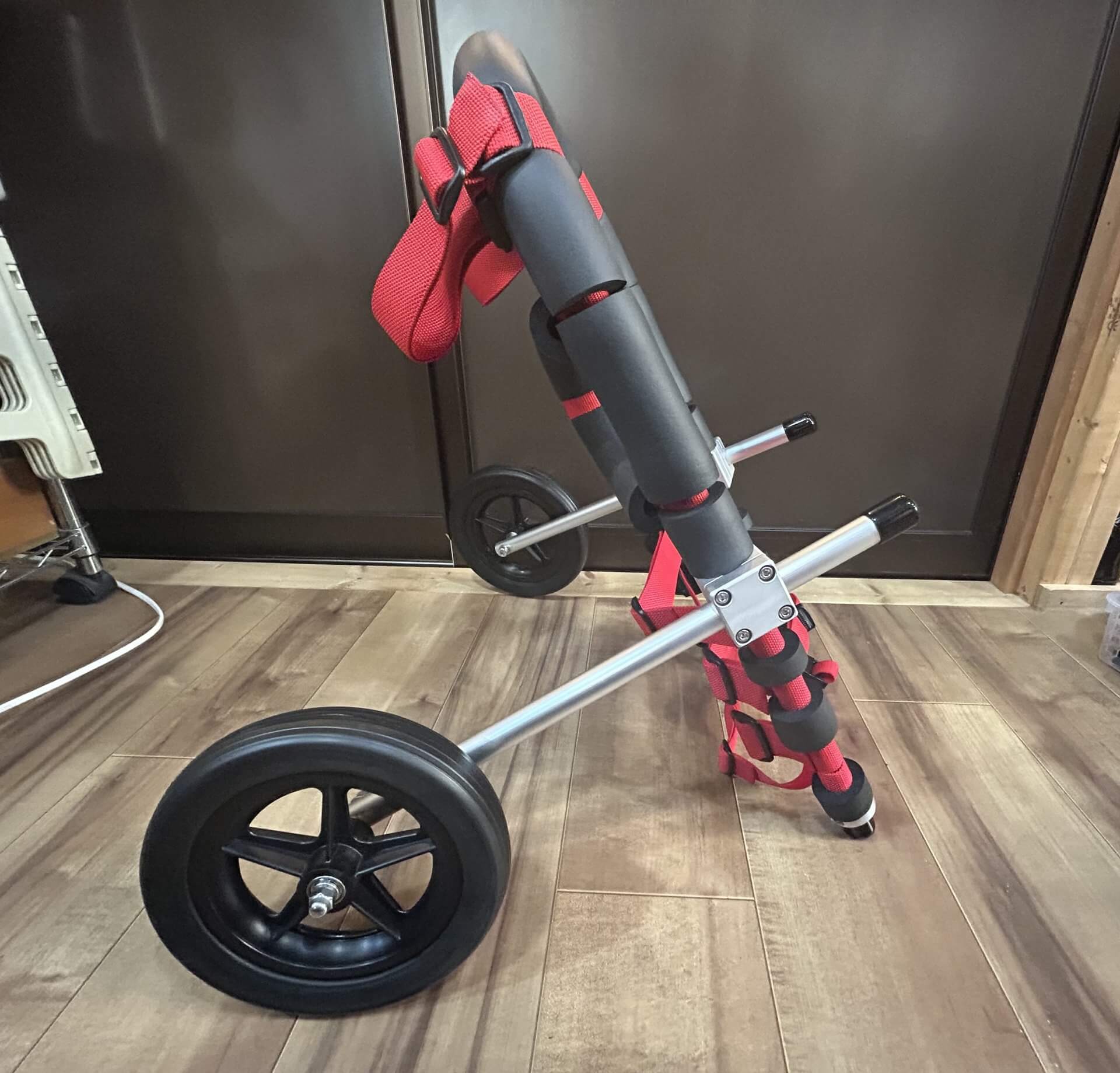 奈良県の中型犬　ボンジョビちゃんの車椅子