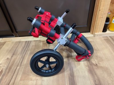 兵庫県のフレンチブルドッグ　ホクロちゃんの車椅子