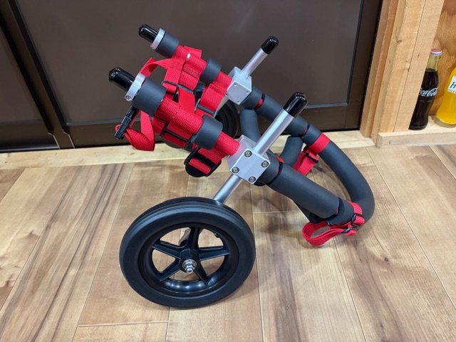 兵庫県のフレンチブルドッグ　ホクロちゃんの車椅子