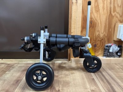 愛知県のトイプードル　伊吹くんの車椅子