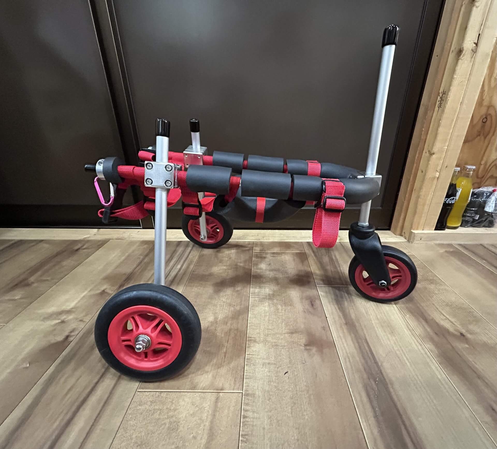 滋賀県のトイプードル　七音（ドレミ）ちゃんの車椅子