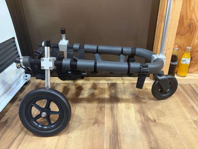 福岡県のコーギー　nanoちゃんの車椅子